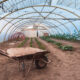 4 рабочих способов обработки почвы в теплице: быстро избавитесь от вредителей, плесени и грибков