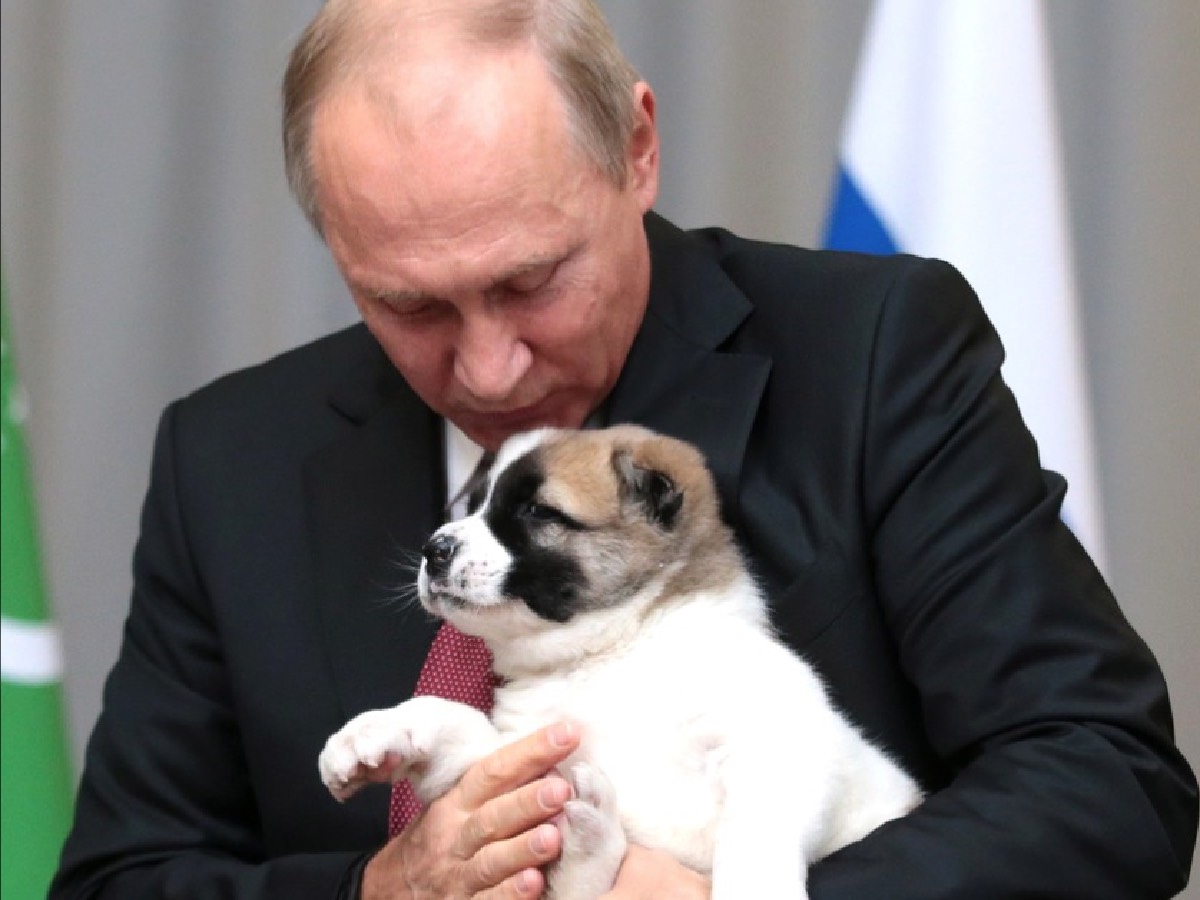 Путину подарили щенка алабая