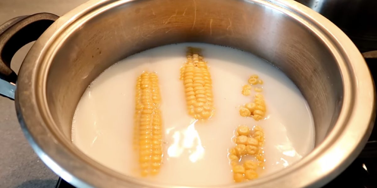 Варить початках в кастрюле. Вареная кукуруза на молоке. Вппарта для варки кукурузы. Вареная кукуруза при диарее. Сколько варится кукуруза.