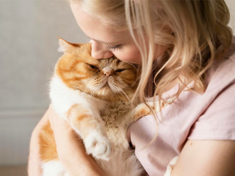 Гигиенично ли целовать кота