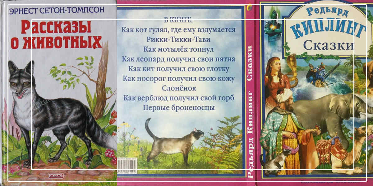 «Книги