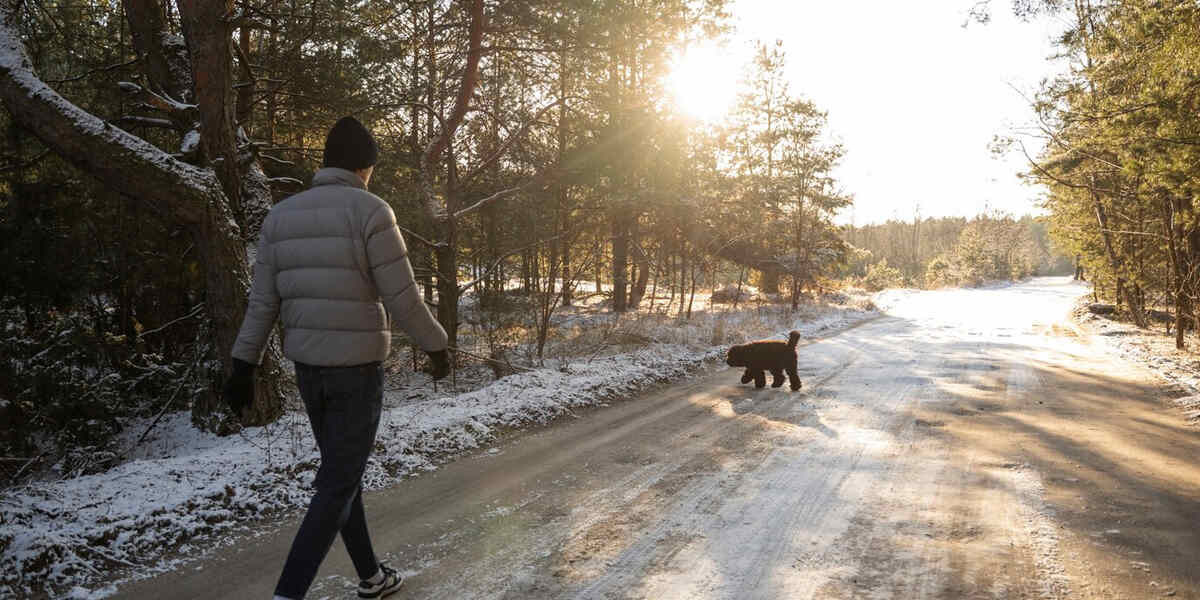 прогулка-зима