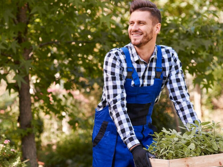 Никакой предоплаты: как нанять человека для садовых работ