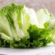 Почему многие не любят салат «Айсберг»