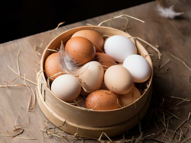 Почему скорлупа у яиц разного цвета