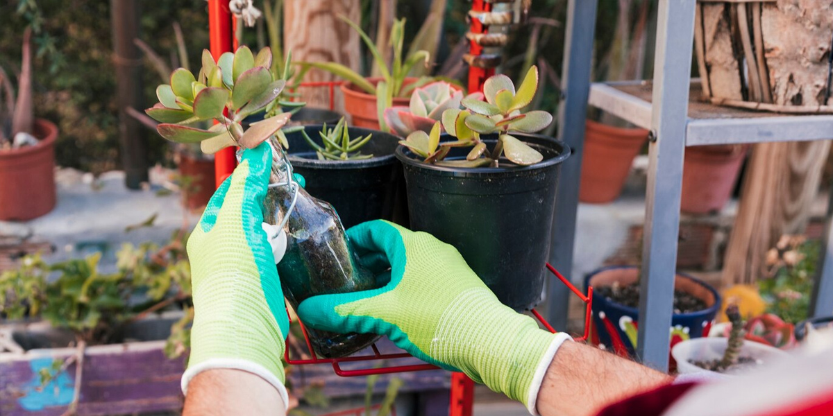 Чистые руки и нежная кожа: как правильно выбрать перчатки для работы в саду