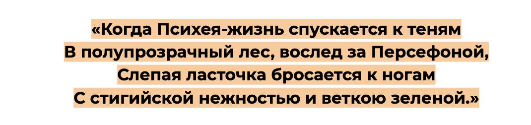 Почему ласточки никогда не приземляются на землю