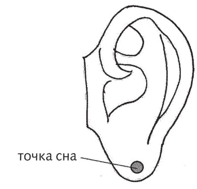 Где находится точка сна