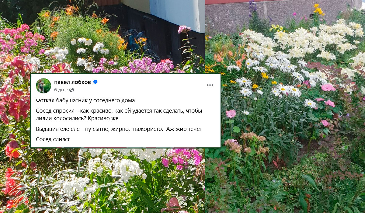 палисадник в московских дворах